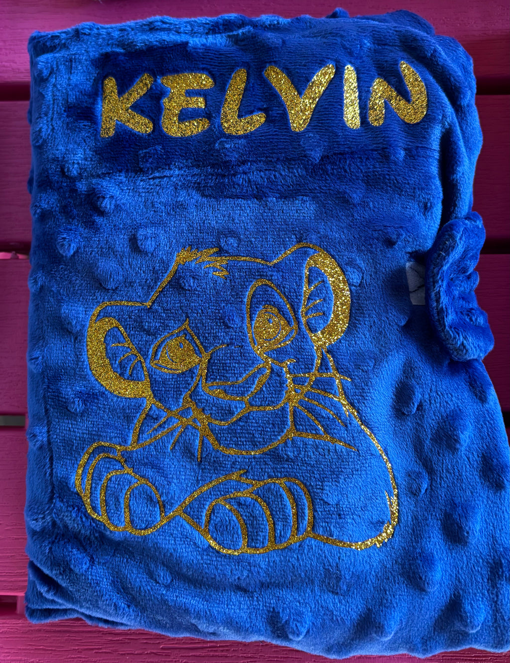 Protège carnet de santé